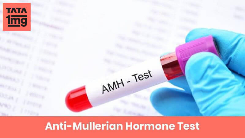 Anti-Mullerian Hormone (AMH): Purpose & Normal Range Of Results | 1mg